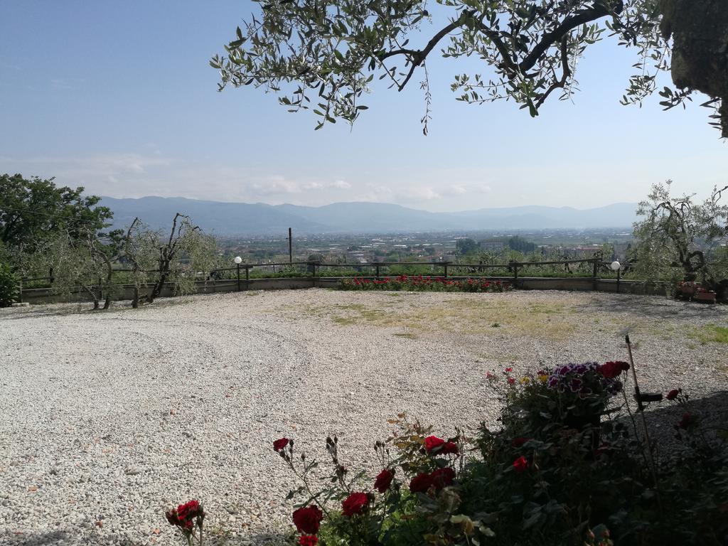 Olivia B&B And Apartment Cantagrillo Dış mekan fotoğraf