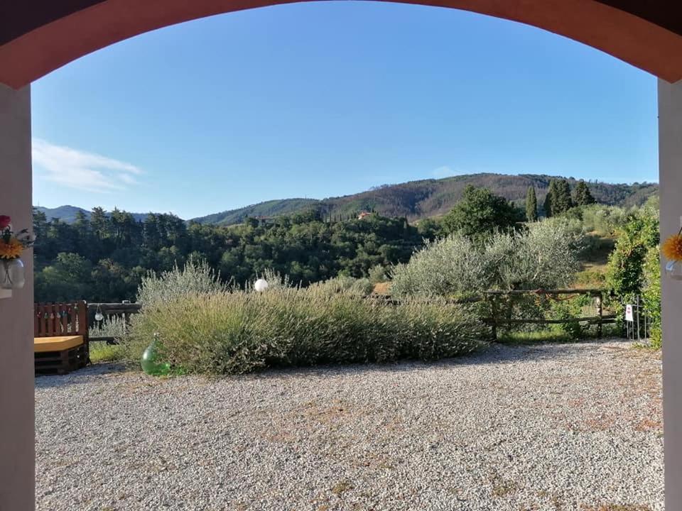 Olivia B&B And Apartment Cantagrillo Dış mekan fotoğraf