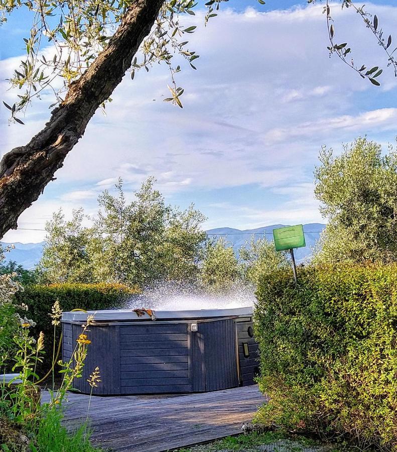 Olivia B&B And Apartment Cantagrillo Dış mekan fotoğraf