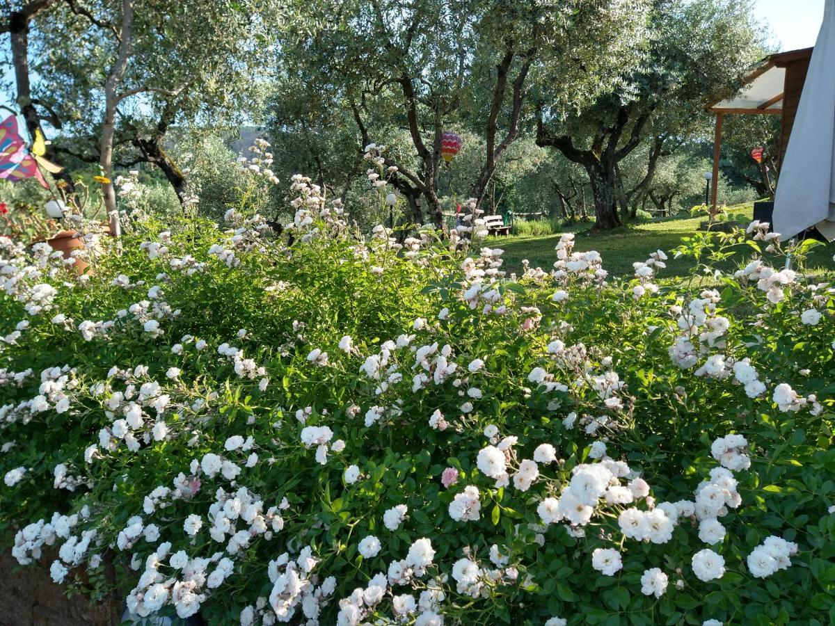 Olivia B&B And Apartment Cantagrillo Dış mekan fotoğraf